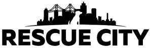 Rescue City