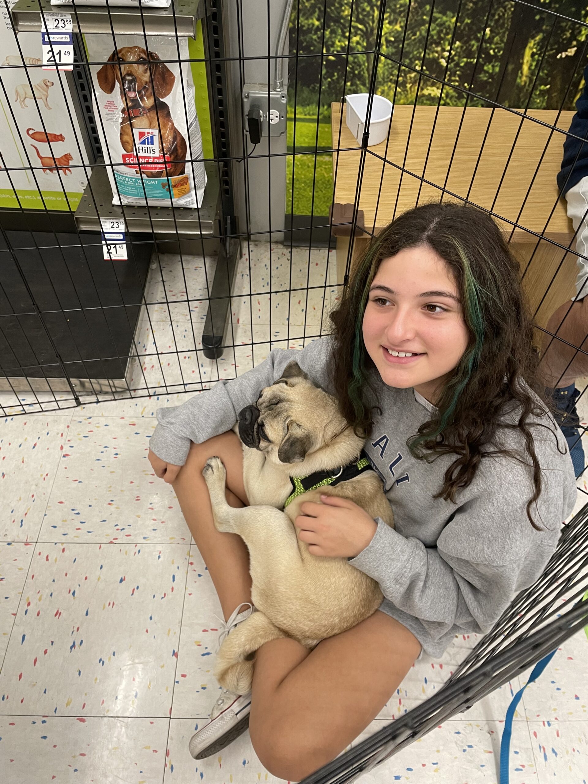 Lauren-Reese-1-scaled