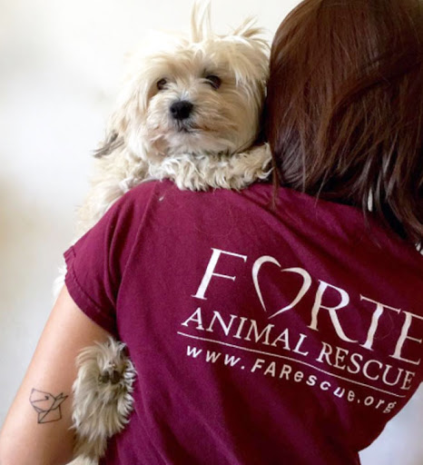 Forte Animal Rescue