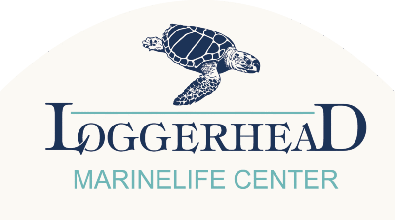 Loggerhead Marine Center