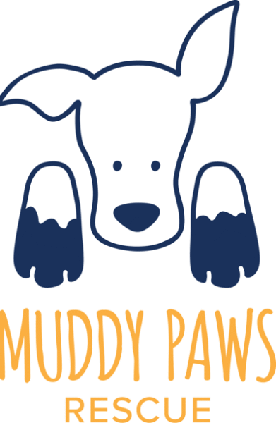 Muddy Paws